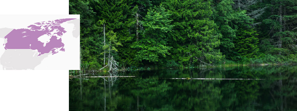 placeholder_200x200 Canada